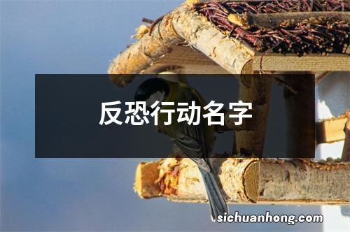 反恐行动名字