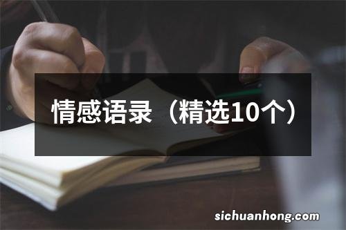 精选10个 情感语录