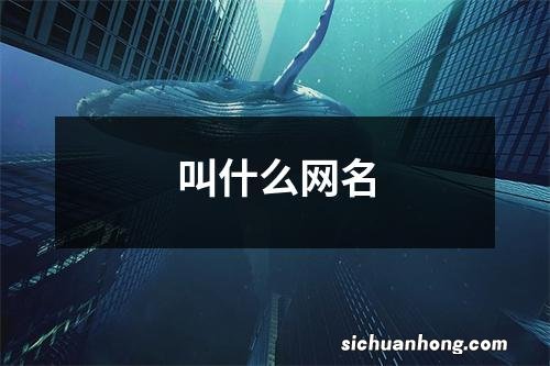 叫什么网名