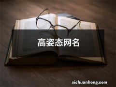 高姿态网名