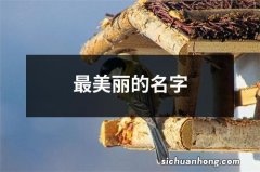 最美丽的名字