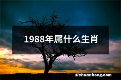 1988年属什么生肖