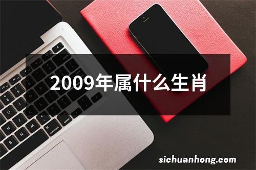 2009年属什么生肖