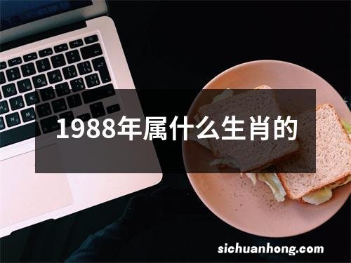 1988年属什么生肖的