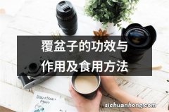 覆盆子的功效与作用及食用方法