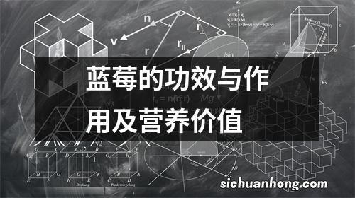 蓝莓的功效与作用及营养价值