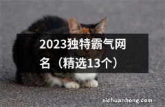 精选13个 2023独特霸气网名