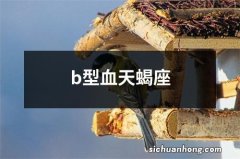 b型血天蝎座