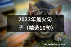 精选10句 2023年最火句子