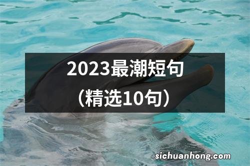 精选10句 2023最潮短句