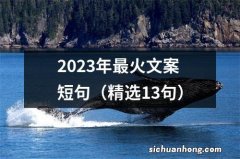 精选13句 2023年最火文案短句