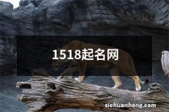 1518起名网