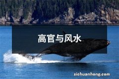 高官与风水