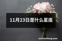 11月23日是什么星座