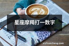 星座摩羯打一数字