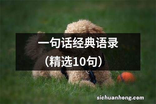 精选10句 一句话经典语录