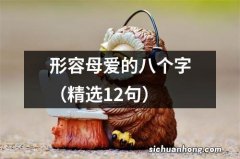 精选12句 形容母爱的八个字