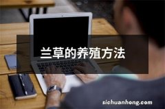 兰草的养殖方法