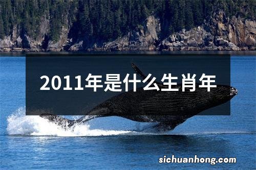 2011年是什么生肖年