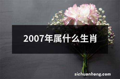 2007年属什么生肖