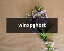winxpghost