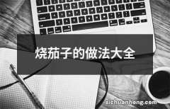 烧茄子的做法大全