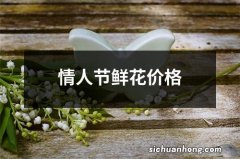 情人节鲜花价格