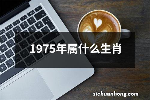 1975年属什么生肖