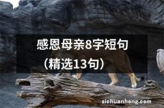 精选13句 感恩母亲8字短句