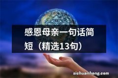 精选13句 感恩母亲一句话简短