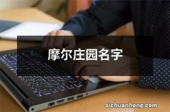 摩尔庄园名字