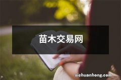 苗木交易网