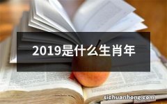 2019是什么生肖年