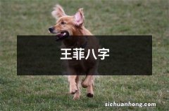 王菲八字