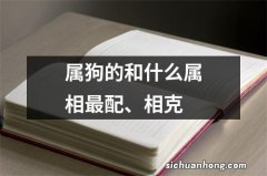 属狗的和什么属相最配、相克