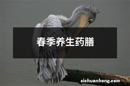 春季养生药膳