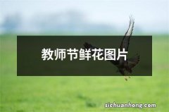 教师节鲜花图片