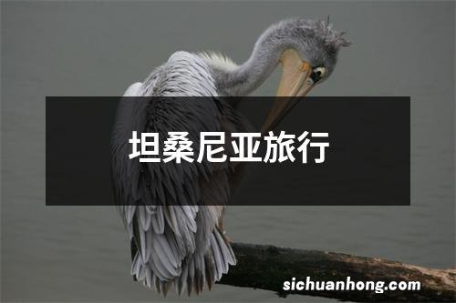 坦桑尼亚旅行