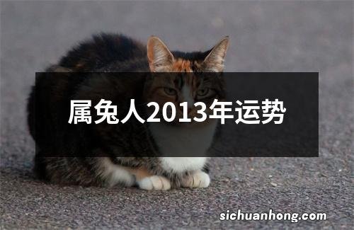 属兔人2013年运势