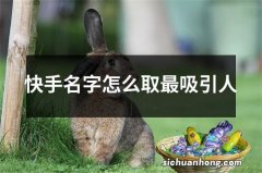 快手名字怎么取最吸引人