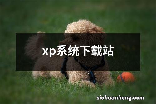 xp系统下载站