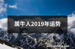 属牛人2019年运势