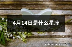 4月14日是什么星座