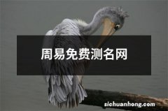 周易免费测名网
