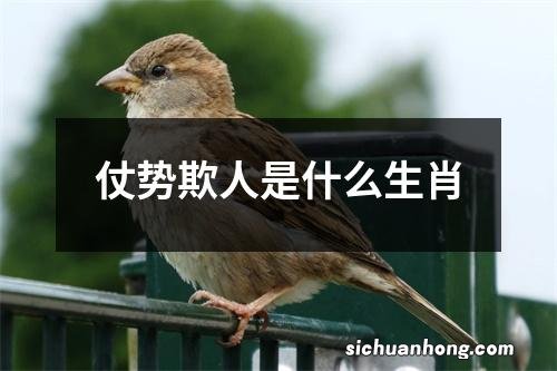 仗势欺人是什么生肖