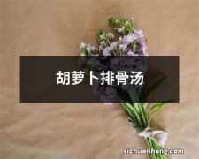 胡萝卜排骨汤