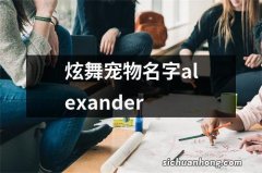 炫舞宠物名字alexander