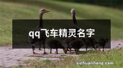 qq飞车精灵名字