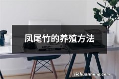 凤尾竹的养殖方法