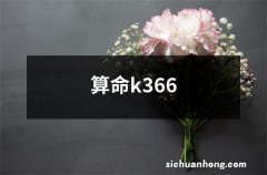 算命k366